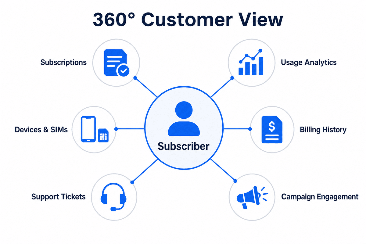 360° Customer View Diagram